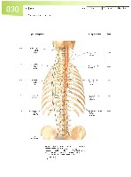 Sobotta  Atlas of Human Anatomy  Trunk, Viscera,Lower Limb Volume2 2006, page 37